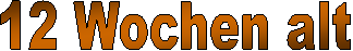 2 Tage alt