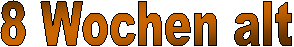 2 Tage alt