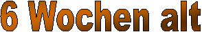 2 Tage alt