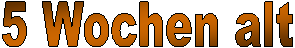 2 Tage alt