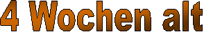 2 Tage alt