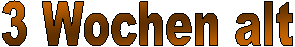 2 Tage alt
