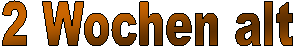 2 Tage alt