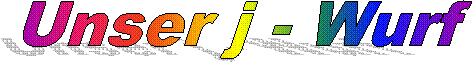 Unser D - Wurf