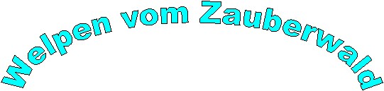 Welpen vom Zauberwald