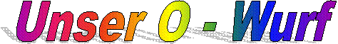 Unser D - Wurf