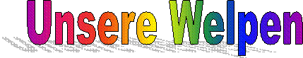 Unsere Welpen